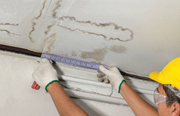 Reliable Basement Water Removal contractor in Ridgeville, IN by Water Damage Irwin